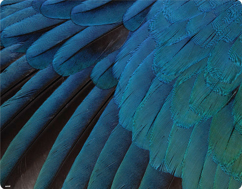Macaw Notebook 9 Pro 13in (2017) Skin